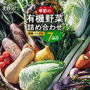 【ふるさと納税】 野菜 詰め合わせ セット 7品目 有機野菜 季節の野菜 おまかせ 有機jAS認定 新鮮 レシピ付き 山梨県 北杜市 仕送りギフト