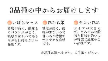 【2026年 先行予約】【定期コース】厳選いちご ４パック×3回【第1水曜発送】（茨城県共通返礼品／常陸太田市） 2026年1月発送開始 フルーツ 苺 イチゴ いちご 新鮮 朝採れ 茨城県 桧山FRU
