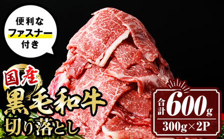 isa694 【伊佐の日・寄附額改定】黒毛和牛切り落とし (合計600g・300g×2P) 国産 真空包装 真空パック ファスナー 小分け 切落とし 牛 うし 牛肉 アウトドア BBQ 冷凍 【サンキョーミート株式会社】