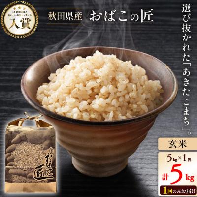 ふるさと納税 美郷町 おばこの匠 秋田県産あきたこまち 5kg(玄米)|01_ymh-120501