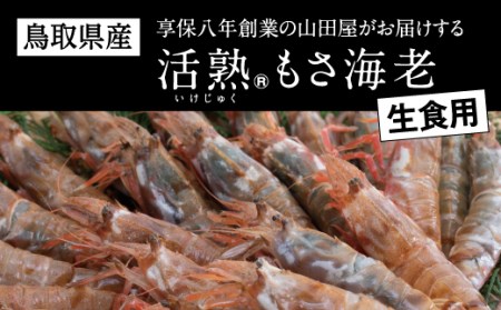 【0582】鳥取県産 生食用もさ海老(山田屋)