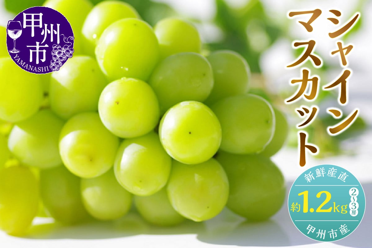
            【選べる発送年度】新鮮産直甲州市！シャインマスカット 約1.2kg 2～3房【2025年発送】【2026年発送】（KSF）B12-170 【山梨県 シャインマスカット フルーツ 大粒 ぶどう 葡萄 ブドウ 果物 人気 種なし 新鮮 高級 ギフト 山梨県産 甲州市 贈答 くだもの 先行予約 期間限定 令和7年 令和8年】
          