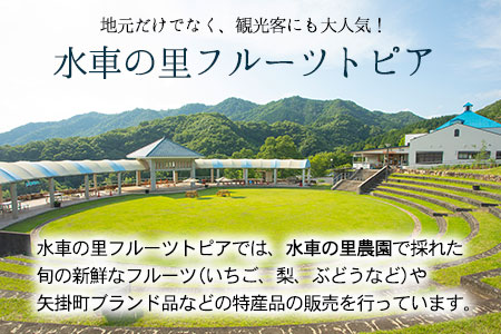 産地直送 愛宕梨 約4kg (4~6玉前後) 水車の里フルーツトピア 期間限定 岡山県矢掛町産 なし 果物 スイーツ フルーツ デザート《12月上旬-2月上旬頃出荷》---osy_suiatg_ad122_24_21500_4---