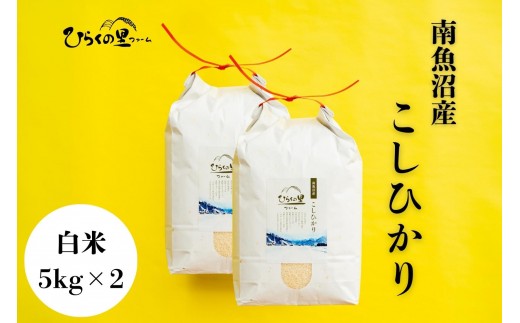 【R7年産】最高金賞 南魚沼産コシヒカリ 白米5kg×2 もっちり甘い！ ひらくの里ファーム【銘柄米 ブランド米 精米 こしひかり コシヒカリ 魚沼産 新潟米 産地直送 お米 米 こめ コメ ご飯 御飯 ごはん】