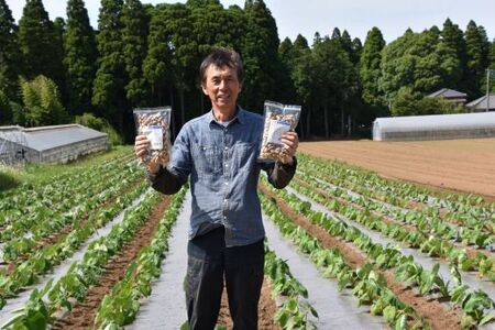 【2024年12月発送開始】 千葉県産 カラ煎り落花生 千葉半立 1.2kg（200g×6） SMF005 落花生 らっかせい ピーナッツ ピーナツ 落花生 らっかせい ピーナッツ ピーナツ 落花生 