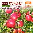 【ふるさと納税】先行予約 長野市産サンふじ家庭用 約10kg 2024年12月～2月発送　※オンライン決済限定　 果物 フルーツ デザート 食後 おやつ 長野県産 信州 りんご 代表品種 濃厚 　お届け：2024年12月10日～2025年2月28日