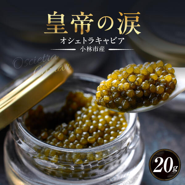 【ふるさと納税】オシェトラキャビア 20g 皇帝の涙 国産 チョウザメ 魚卵 オシェトラ セット チョウザメの卵 国産キャビア キャビア ふるさと 人気 おすすめ 贈答 ギフト お裾分け プレゼント 宮崎県 小林市 送料無料