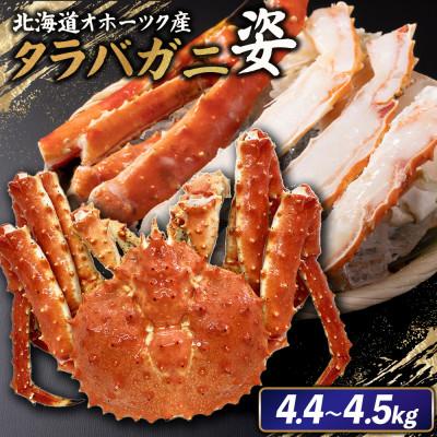 ふるさと納税 雄武町 北海道オホーツク産 冷タラバガニ姿　4.4〜4.5kg【1241401】