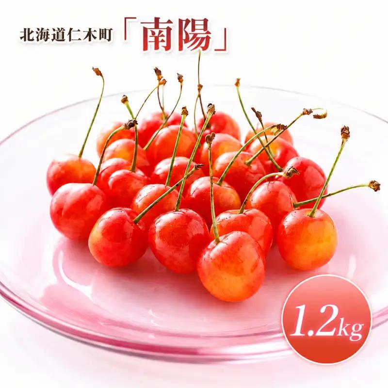 さくらんぼ 1.2kg 南陽 Lサイズ以上 サクランボ