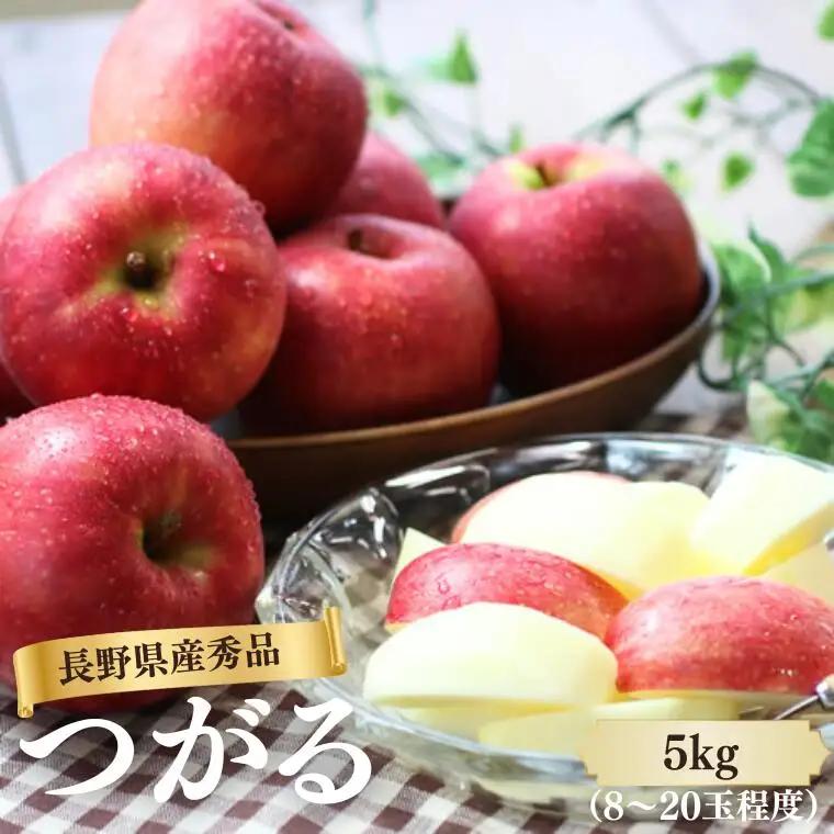 MS05 りんご つがる（長野県産秀品） 約5kg / 2026年9月上旬～9月下旬頃 配送予定 // 南信州産 長野県 早生りんご りんご リンゴ 林檎 つがる 贈答 果物 フルーツ