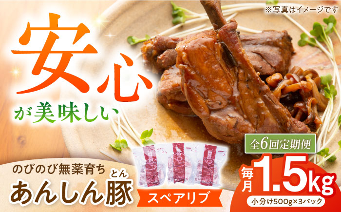 
            【6回定期便】あんしん豚 スペアリブ 1.5kg 豚肉 小分け 国産 白川町 / 藤井ファーム [AWAF017]
          