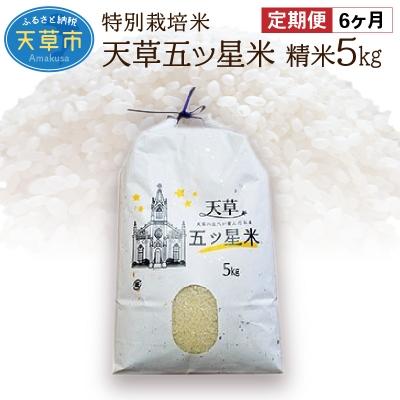 ふるさと納税 天草市 【6ヶ月定期便】天草五ッ星米 精米 5kg_S061-T06A