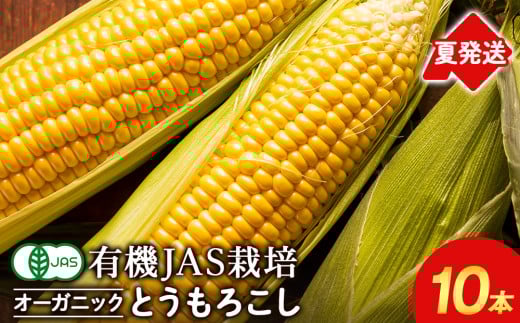 【2025年夏発送】たかのふぁーむ 有機 トウモロコシ ☆10本☆ とうもろこし とうきび 野菜 千歳 北海道