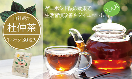 【ふるさと納税】黒姫和漢薬研究所「自社栽培 杜仲茶30包」4個セット｜農薬・化学肥料不使用・県内産の完全自然栽培茶葉をこだわりのダブル焙煎【長野県信濃町】