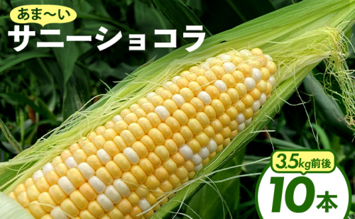 上品な甘さのトウモロコシ「サニーショコラ」(3.5kg前後・10本)