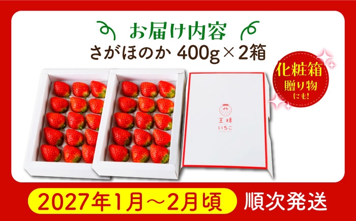 いちご イチゴ 苺 朝摘み 贈答 贈り物 プレゼント ギフト 農家直送 産地直送 果物 フルーツ 佐賀 佐賀県産