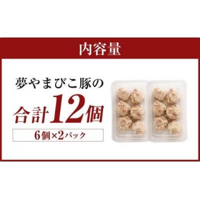 ふるさと納税 幸田町 夢やまびこ豚の大きな焼売 45g×12個(計 540g)  シュウマイ 点心 |  | 03