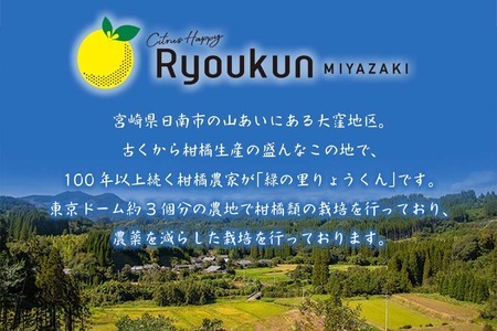 ≪数量限定≫黄金柑(おうごんかん)計3kg以上　フルーツ　果物　柑橘　みかん　国産 B227-23