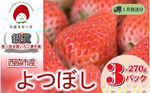 《2026年産先行予約》「西脇市産 佐藤果実工房のよつぼし」（約270g×３パック 約810g）【佐藤果実工房 全国いちご選手権銀賞受賞農園 TVで紹介!】令和８年１月中旬配送分（09-39）