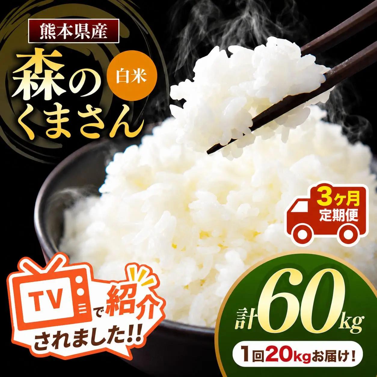 【 定期便 3回 】 R7年産 熊本県産 白米 森のくまさん 20kg