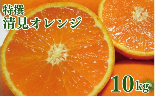 特撰　清見オレンジ 10kg+200g(補償分)【2027年2月下旬～5月上旬頃に順次発送予定】【ard263】