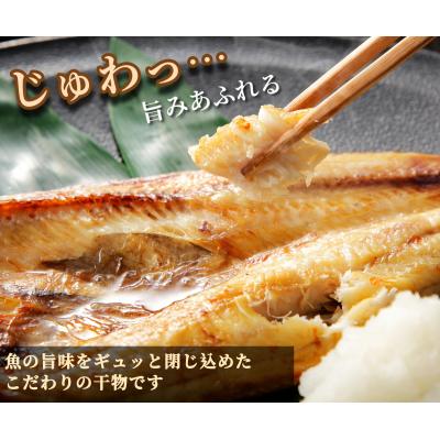 ふるさと納税 小松島市 訳あり 干物 約4.4kg 詰め合わせ ホッケ サンマ アジ カマス 和田島産 徳島県 小松島市 |  | 01