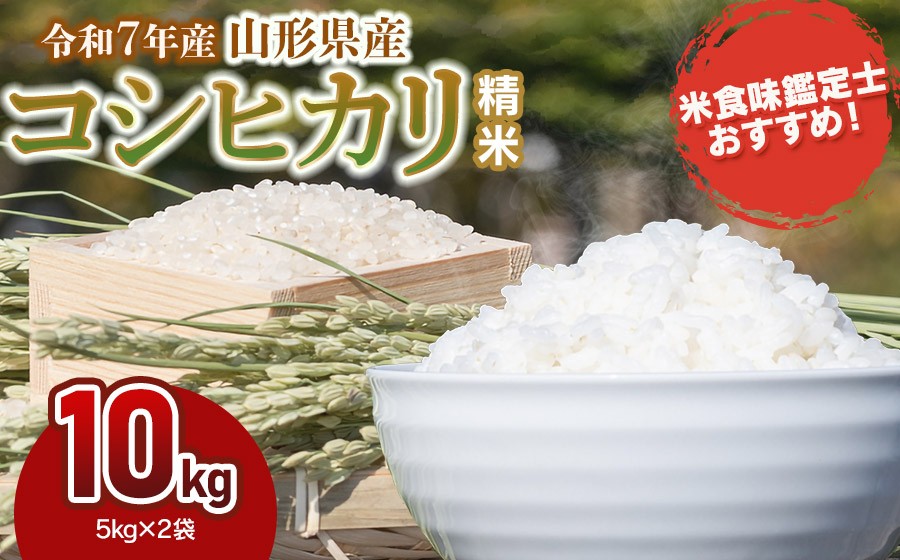 
                  【令和7年産】 コシヒカリ 精米 10kg (5kg×2袋)　山形県産　米食味鑑定士お薦め　| こしひかり 10キロ 米 お米 コメ 白米 食品 ご飯 ごはん 美味しい おいしい ブランド米 おすすめ 人気 山形県 鶴岡市 東北 国産 お取り寄せ 返礼品
                