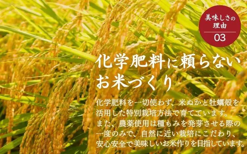 ＜全6回定期便 / 配送時期指定可＞ コシヒカリ 無洗米 5kg×6回  一心良米（米ぬか牡蠣殻栽培米） 真庭市産 令和8年産 / お米 岡山県 こしひかり 人気 ブランド 2026年産 【tkns-