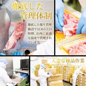 おおいた和牛 ローストビーフ (計300g・150g×2P) 【FW017】【 (株)ミートクレスト】