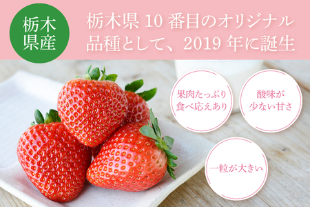 【合計20～40粒入り】いちご とちあいか 600g以上 (300g以上×2パック)｜栃木県 益子町 ふるさと納税 鈴木農園 L 2L 3L ご家庭用 家族用 食べやすい 一口サイズ 粒たっぷり 大満