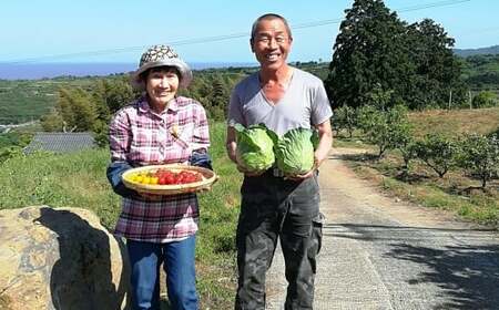 【12ヶ月 定期便】 肥前の国のお野菜定期便 新鮮 採れたて 野菜 直売所 野菜 8～10品目 野菜定期便 J-14