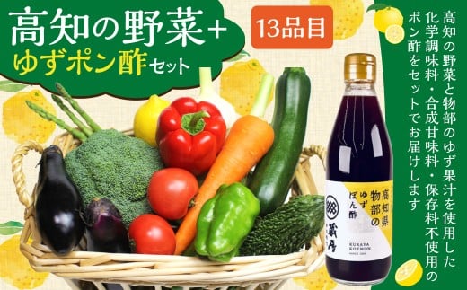 高知の野菜（13品目）＋ゆずポン酢セット ／ 野菜 やさい ゆずポン酢 ゆずぽん酢 柚子ポン酢 柚子ぽん酢 セット 旬野菜 高知県 香美市 冷蔵