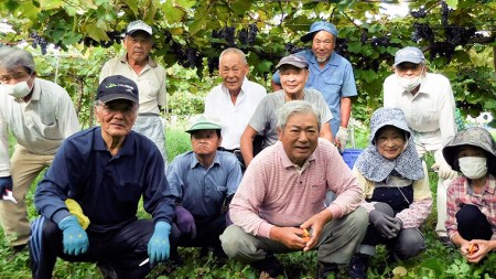 八千代夢ワインシリーズ きぬ(白ワイン) １本 ( 茨城県共通返礼品 八千代町 ) 国産 ワイン 白ワイン [BW003sa]