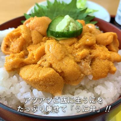 ふるさと納税 田野畑村 【予約R8.6月〜発送】三陸生うに　180g1本　国立公園・田野畑村から(瓶入りミョウバン不使用)　 |  | 01