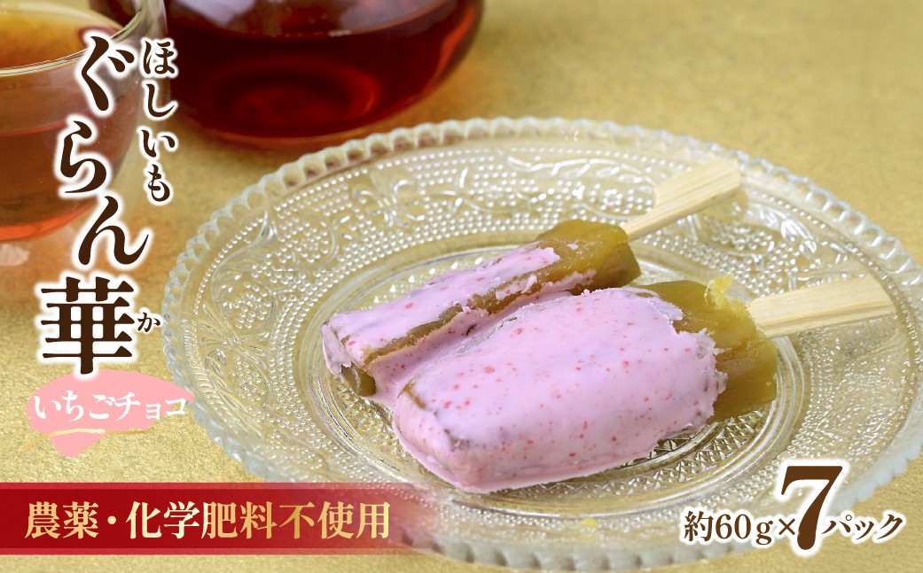 
                  干し芋 紅はるか (いちごチョコ)7パック ギフト箱入り 茨城県産【ほしいも ぐらん華】| ほしいも ホシイモ 干し芋 ほし芋 干しいも さつまいも おやつ 紅はるか 小分け チョコ チョコレート いちご 詰め合せ アソート 贈答 ギフト 茨城県 ひたちなか市
                