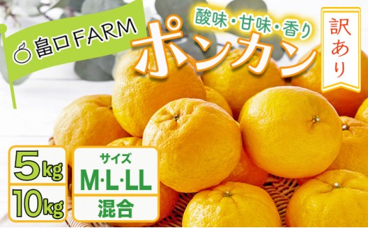 
                  ＜選べるサイズ/容量＞【先行予約】訳ありポンカン M〜LLサイズ 5kg/10kg
                
