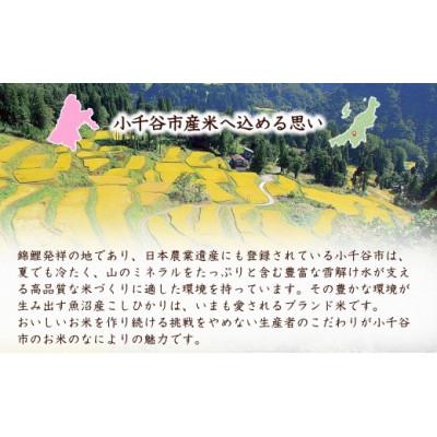 ふるさと納税 小千谷市 【錦鯉デザイン】特別栽培米 魚沼産コシヒカリ 精米10kg 棚田米 錦鯉発祥の地 小千谷産 新潟県 |  | 03