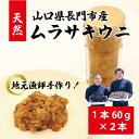 【ふるさと納税】 瓶詰めウニ 天然 うに ムラサキウニ 地物 国産 最高級 セット 60g×2本 合計120g 長門市 (12026)