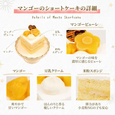 ふるさと納税 佐野市 【マンゴーのショートケーキセット】犬のケーキ・ごはん 無添加 手作り Idea dog chef |  | 01