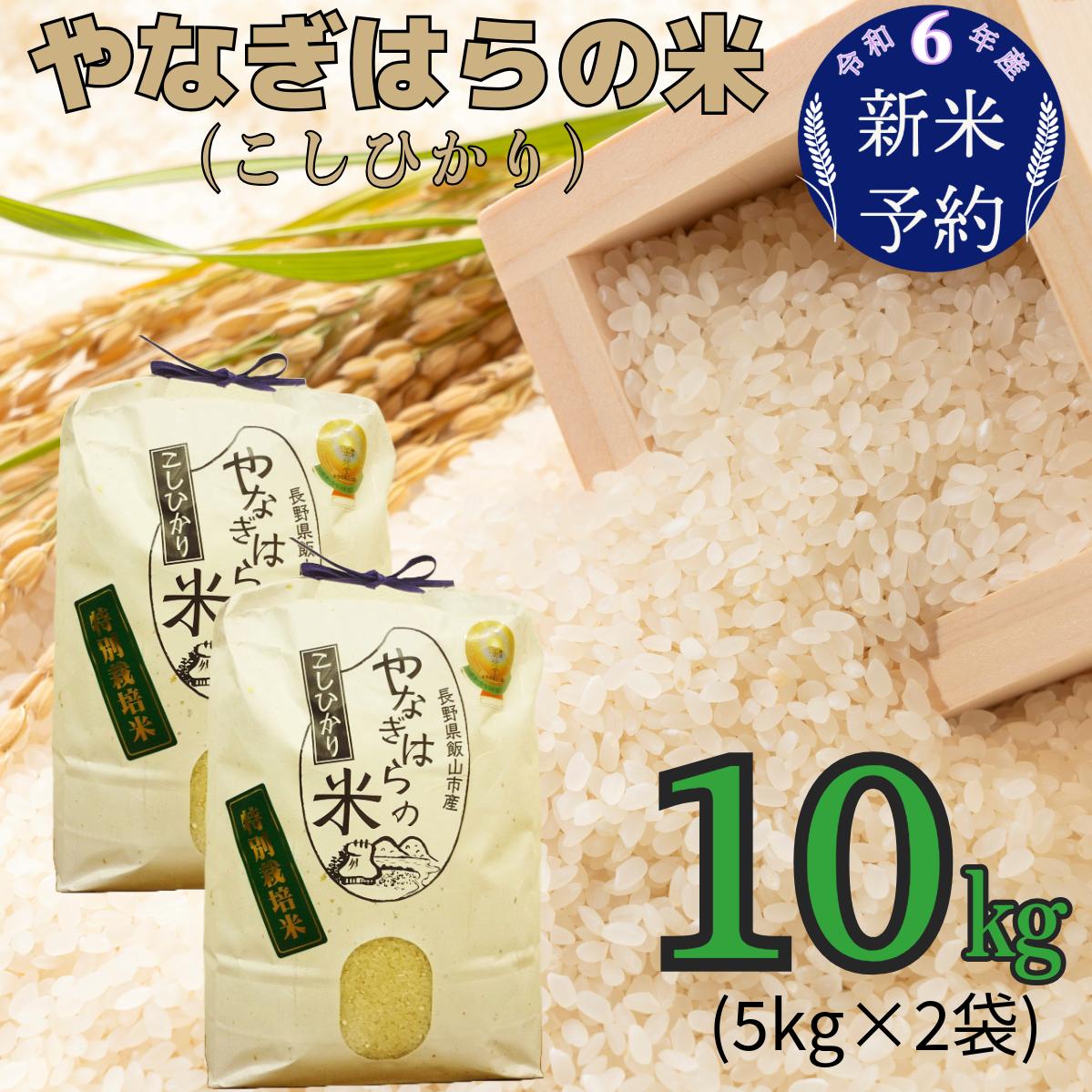 【令和6年産 新米予約】「やなぎはらの米　こしひかり」10ｋｇ (6-40)