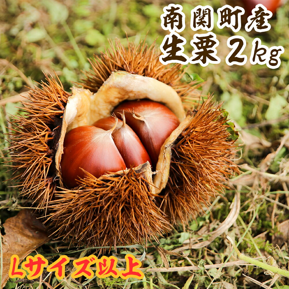 【ふるさと納税】2026年産栗の名産地南関町産の栗 2kgLサイズ以上を中心にお届け！《9月上旬-10月上旬頃出荷》農家厳選冷蔵送料無料