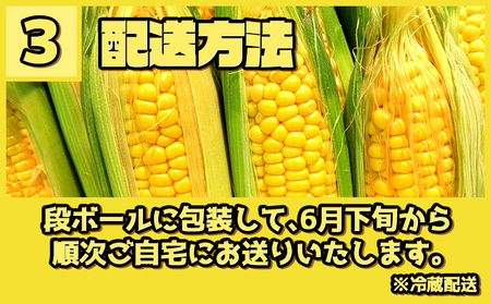 【先行予約 6月下旬から出荷】 スイートコーン 5kg 10～14本 冷蔵 国産 とうもろこし 先行予約 数量限定 コーン 野菜 新鮮 焼き 蒸し 産地 直送 甘い 甘口 子ども 子供 小分け 種子 