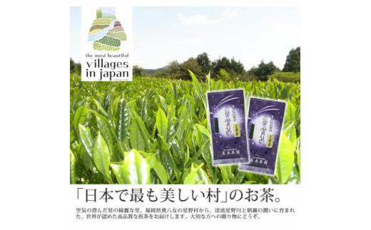 
奥八女星野村 八女茶 深蒸し高級煎茶(深蒸し茶)100g×2袋(吉富町)【1438515】
