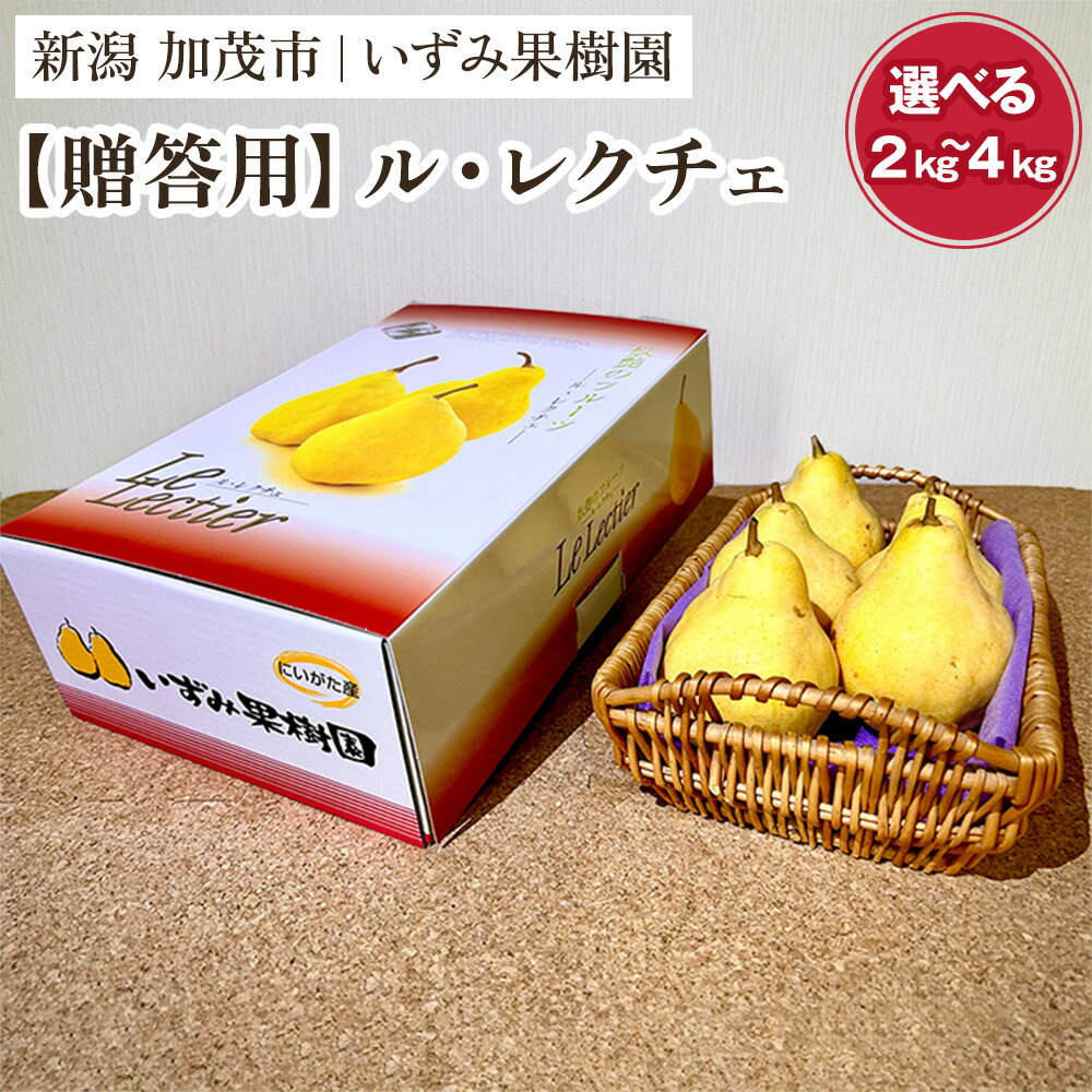 【ふるさと納税】【2025年先行予約】【贈答用】西洋梨ル・レクチェ 「約2kg」or「約3kg」or「約4kg」〈11月下旬～順次出荷〉 ルレクチェ ル・レクチエ ルレクチエ 幻の洋梨 フルーツ 贈答 冬の味覚 加茂市 いずみ果樹園