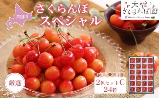 【先行受付】厳選さくらんぼスペシャル2色C 24粒（赤・赤）南陽・紅秀峰 [№5342-0305]