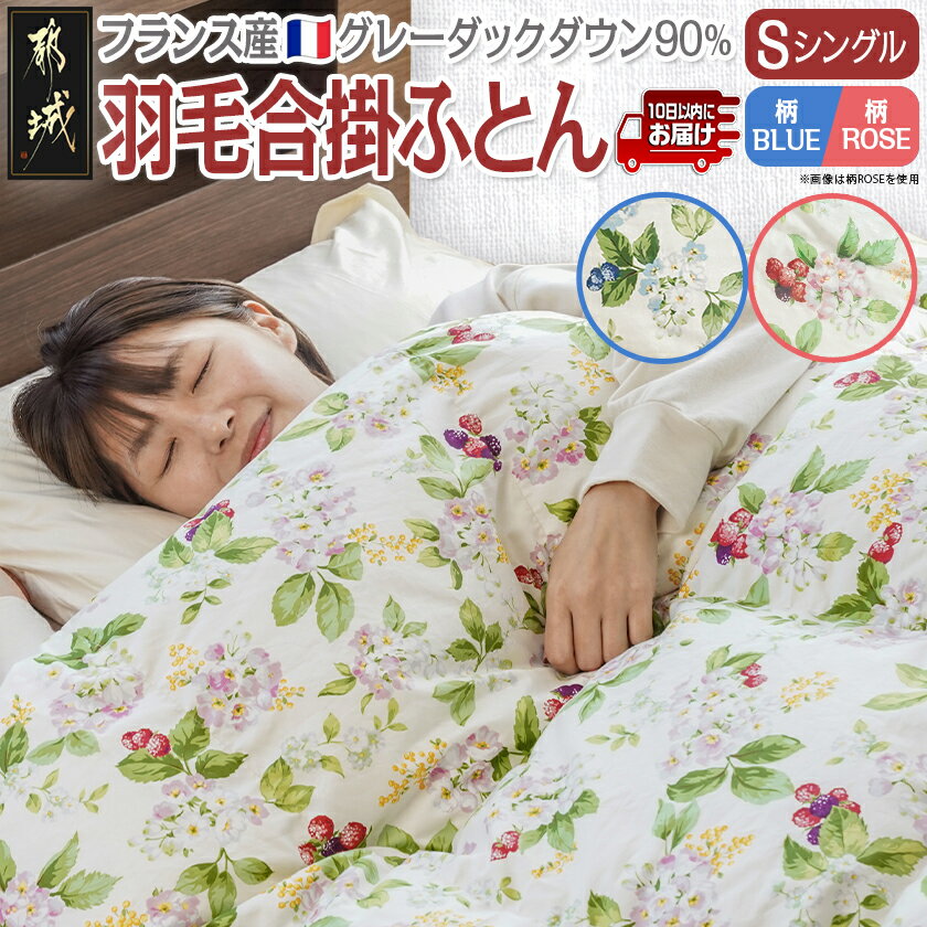 【ふるさと納税】【選べる2色！】羽毛合掛ふとん フランス産グレーダック90％【S】≪みやこんじょ特急便≫ - 寝具 ダウン 日本製 SEKアレルGプラス 合掛け布団 シングル MADE IN 都城 羽毛布団 ふとん 送料無料 AI-E104【宮崎県都城市は2年連続ふるさと納税日本一！】
