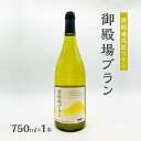 【ふるさと納税】御殿場高原ワイン御殿場ブラン750ml×1本　 裾野市