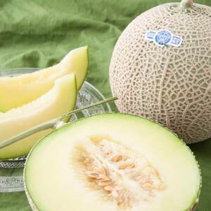 【お歳暮】12月発送 静岡県磐田市 クラウンメロン 白等級 約1.3kg×2個【配送不可地域：離島・北海道・沖縄県】【1640728】