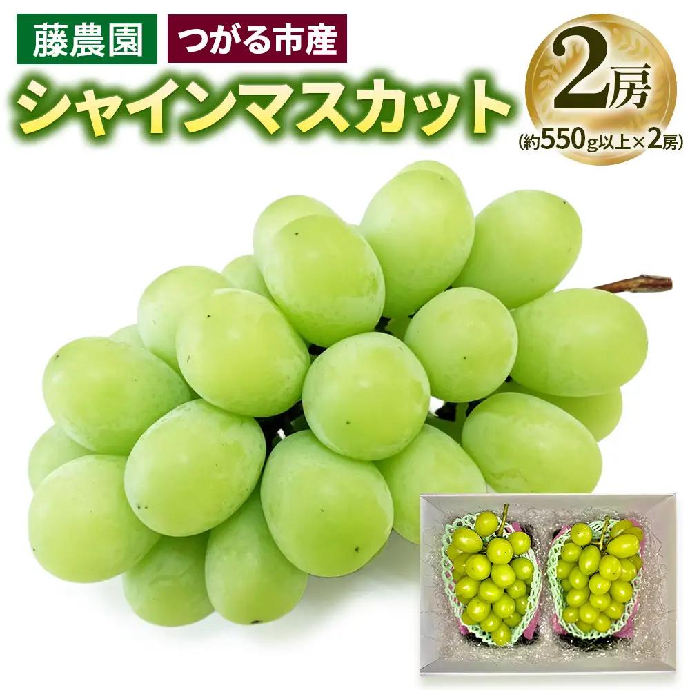 シャインマスカット 2房 (約550g以上×2房)糖度18度以上｜つがる市産 種なし ぶどう フルーツ 果物 贈答 青森 つがる市 藤農園 2026年産 令和8年農福連携 [0965]