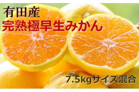 【厳選】紀州有田の完熟極早生みかん約7.5kg(サイズ混合) ※2025年10月下旬より順次発送【tec802A】
